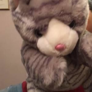 Meet your Posher, Naomi